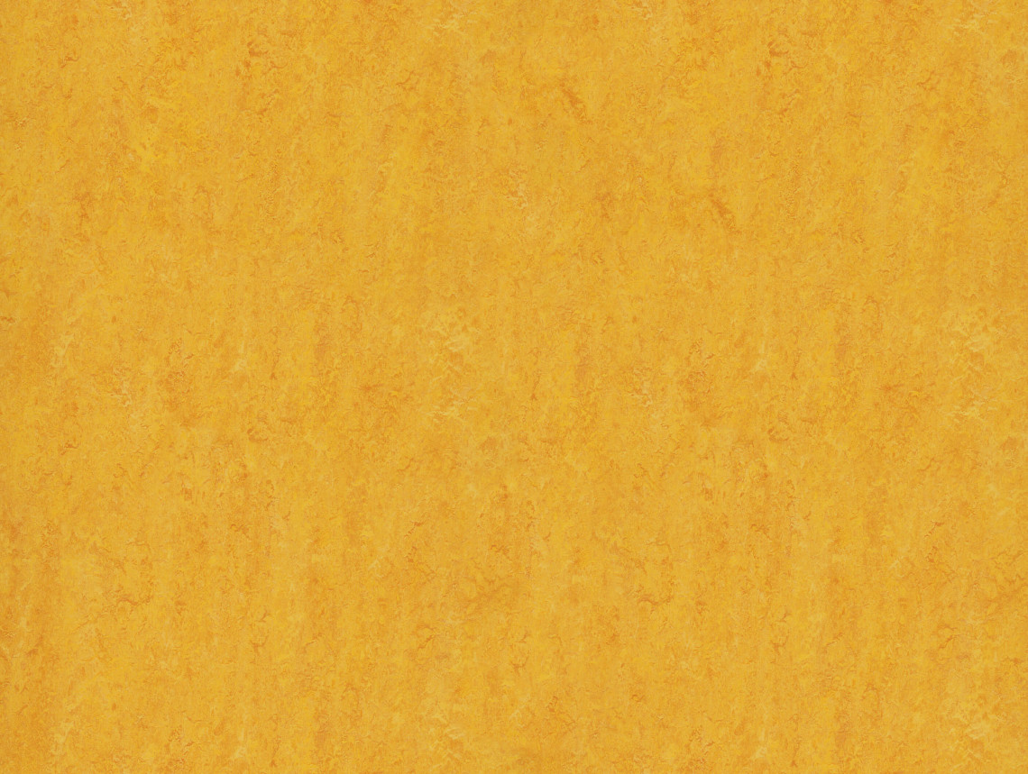 Marmoleum Real - 3225/322535 dandelion